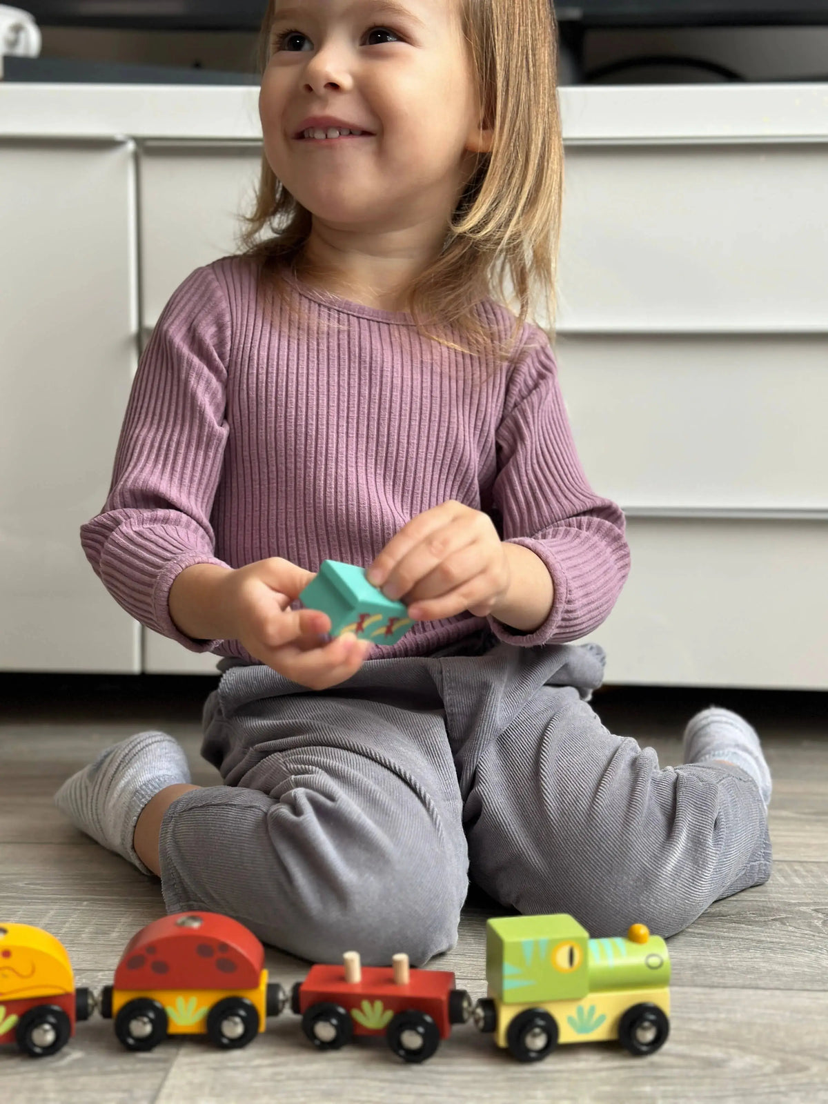 Kind spielt mit Dinosaurierfiguren und dem mehrteiligen Holzzug