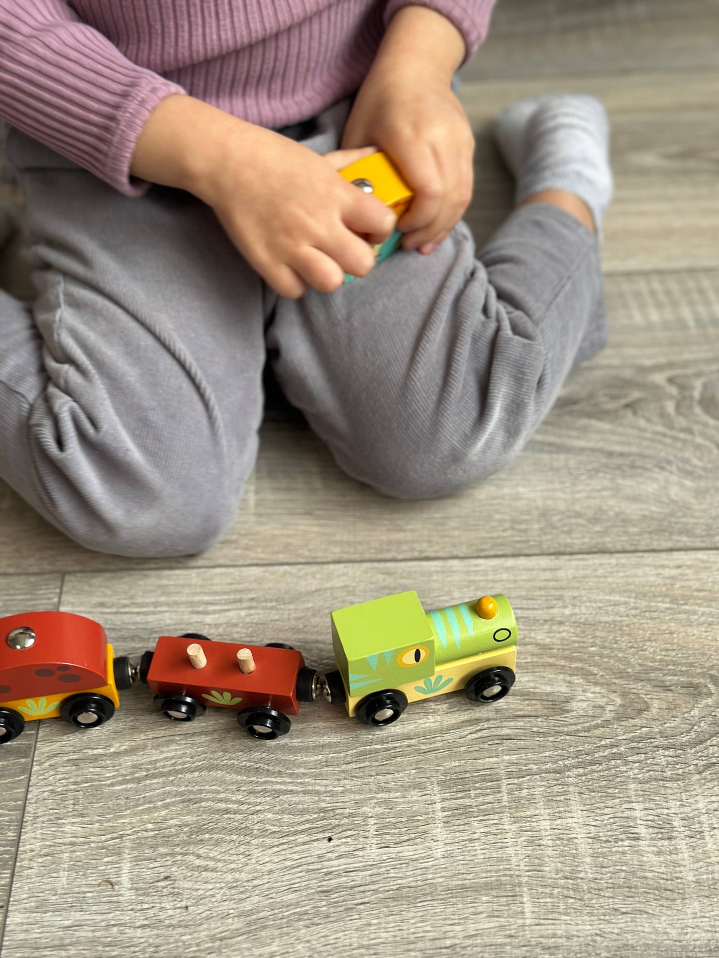 Nachhaltiger Kinder Holz Dinosaurierzug, ab 18 Monaten