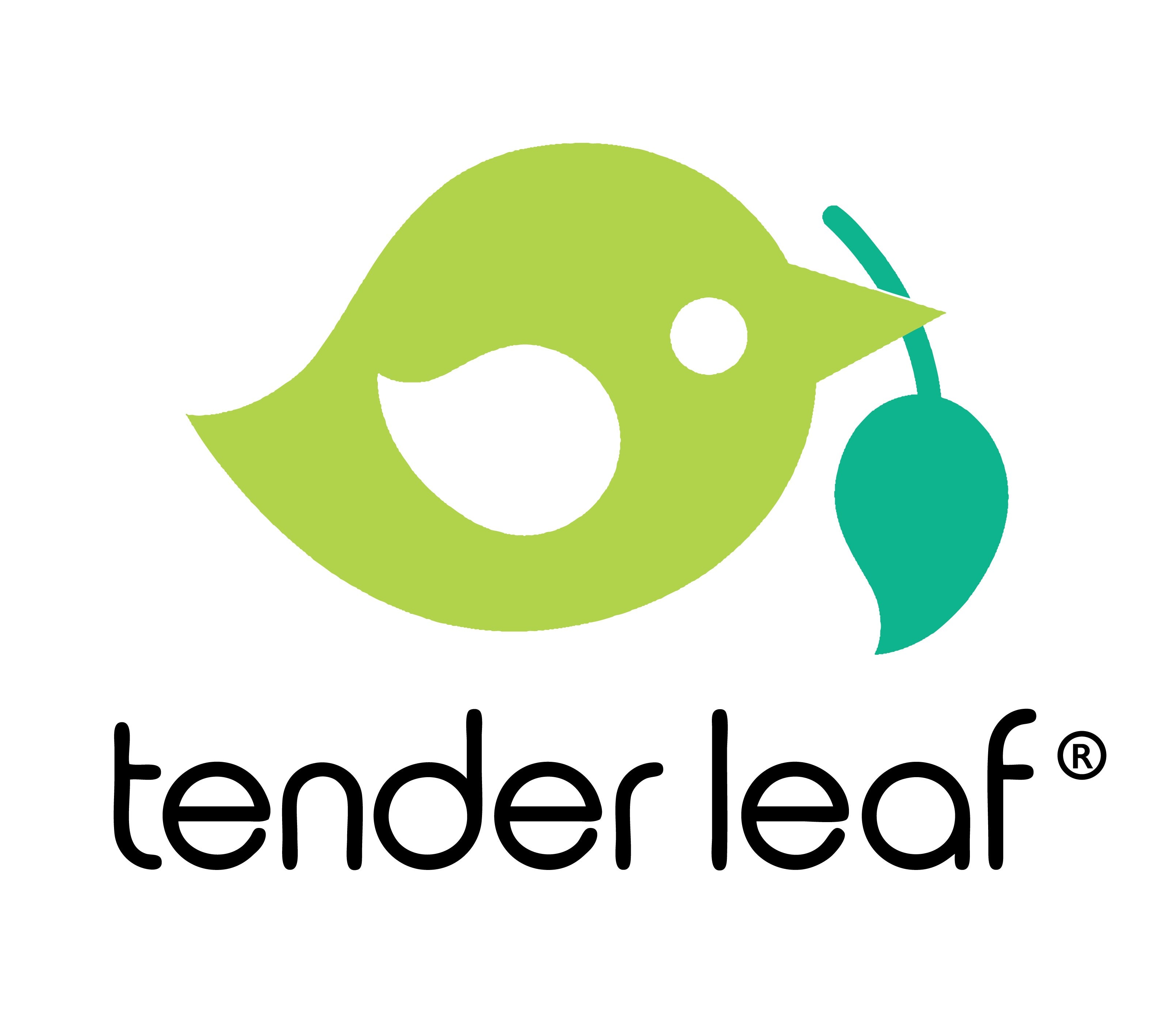 Tender Leaf Toys Logo – hochwertiges Holzspielzeug